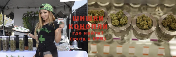 ECSTASY Горняк