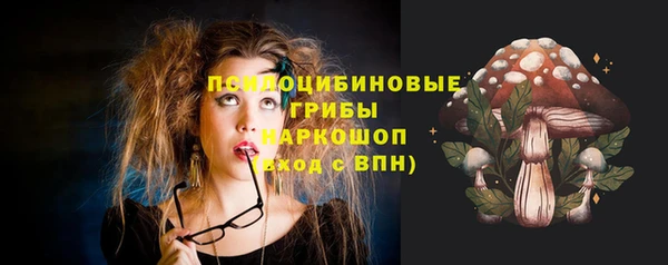 ECSTASY Горняк