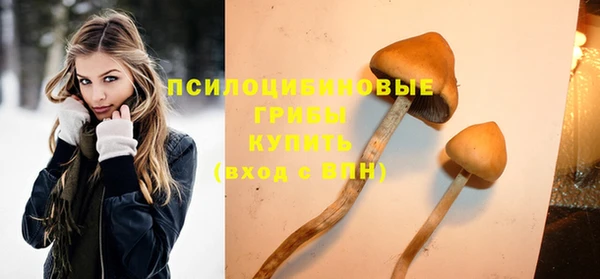 меф Горнозаводск