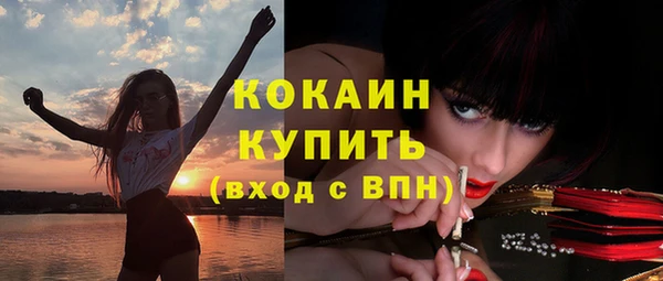 дмт Горно-Алтайск