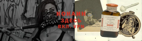 дмт Горно-Алтайск