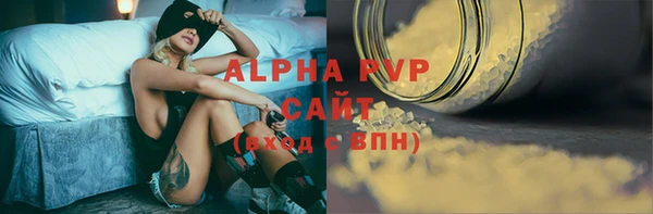 ECSTASY Горняк