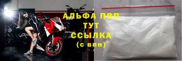 ECSTASY Горняк