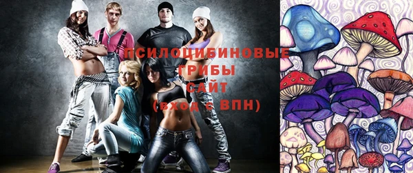 дмт Горно-Алтайск