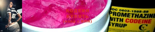 дмт Горно-Алтайск