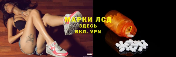 ECSTASY Горняк