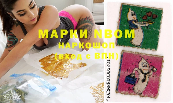 ECSTASY Горняк