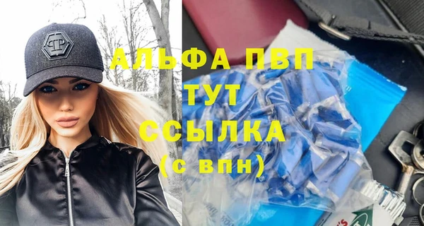 ECSTASY Горняк