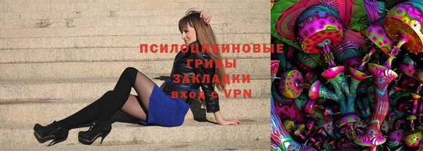 дмт Горно-Алтайск
