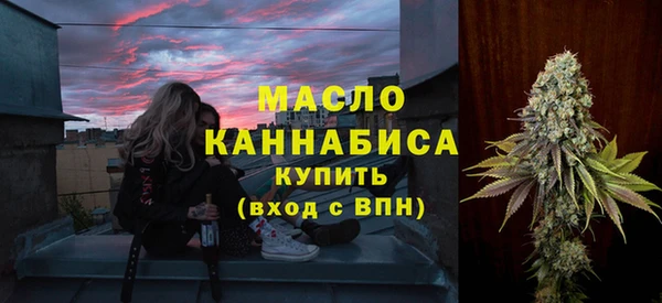 ECSTASY Горняк