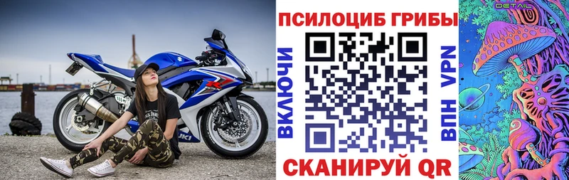 Купить  Ипатово  Галлюциногенные грибы прущие грибы 
